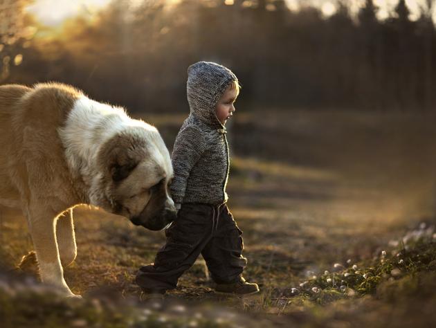 boy with dog