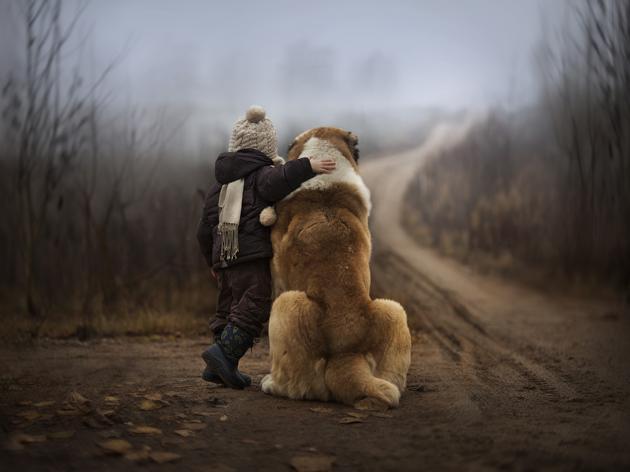 boy with dog back