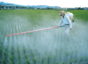 Pesticide