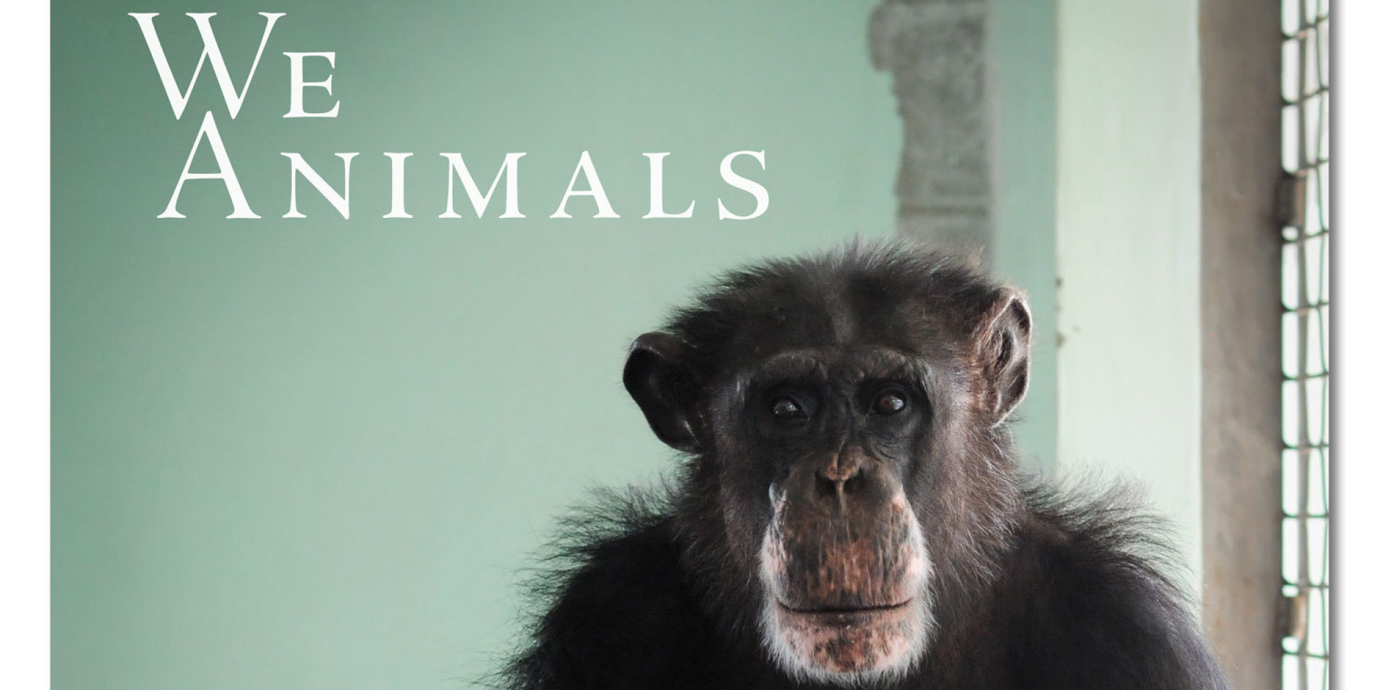 'We Animals' Book Exposes Sadness Of Animal Captivity With Stunning