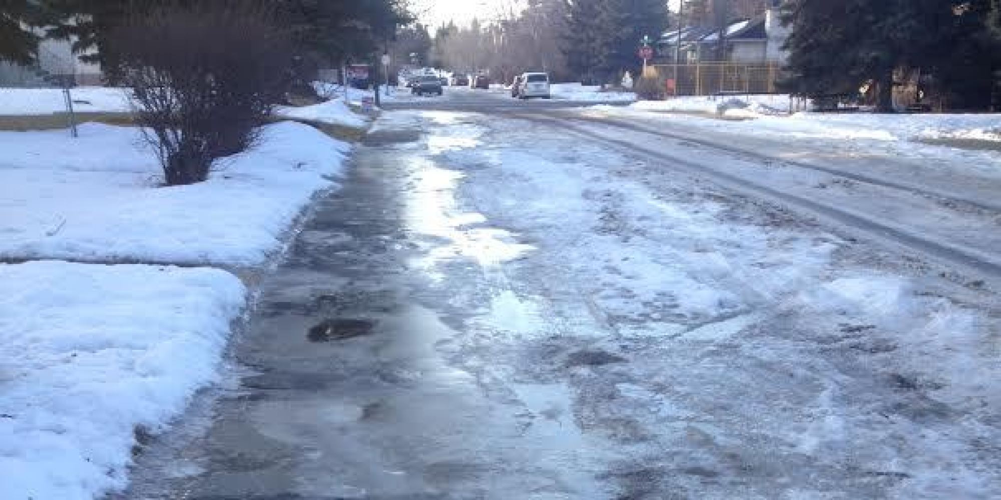 15 Things I'd Rather Do Than Walk On Calgary's Icy Sidewalks Right Now Michelle Butterfield
