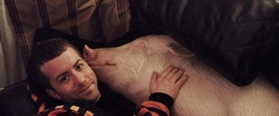 ESTHER THE WONDER PIG