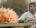 Melon Fragmentation VIDEO From