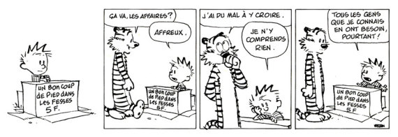 calvin hobbes