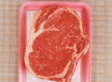 salmonella shigella petri dish