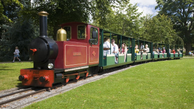 Miniature Train 