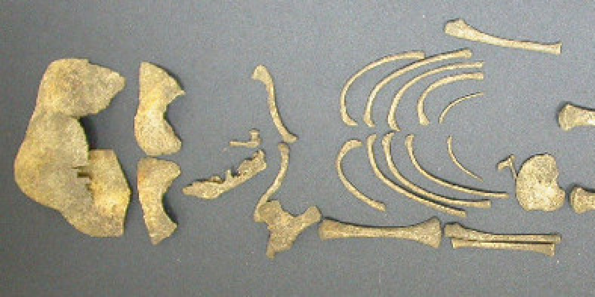 Ancient Rome Infanticide Practices Did Not Favor Boys After All, DNA