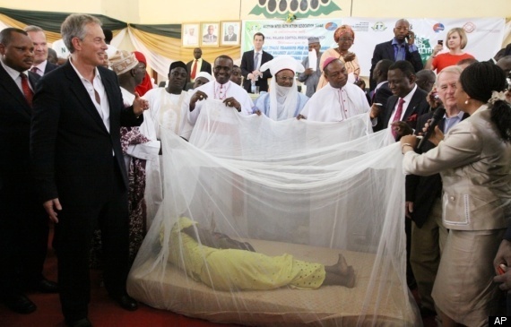 Malaria Bed Net