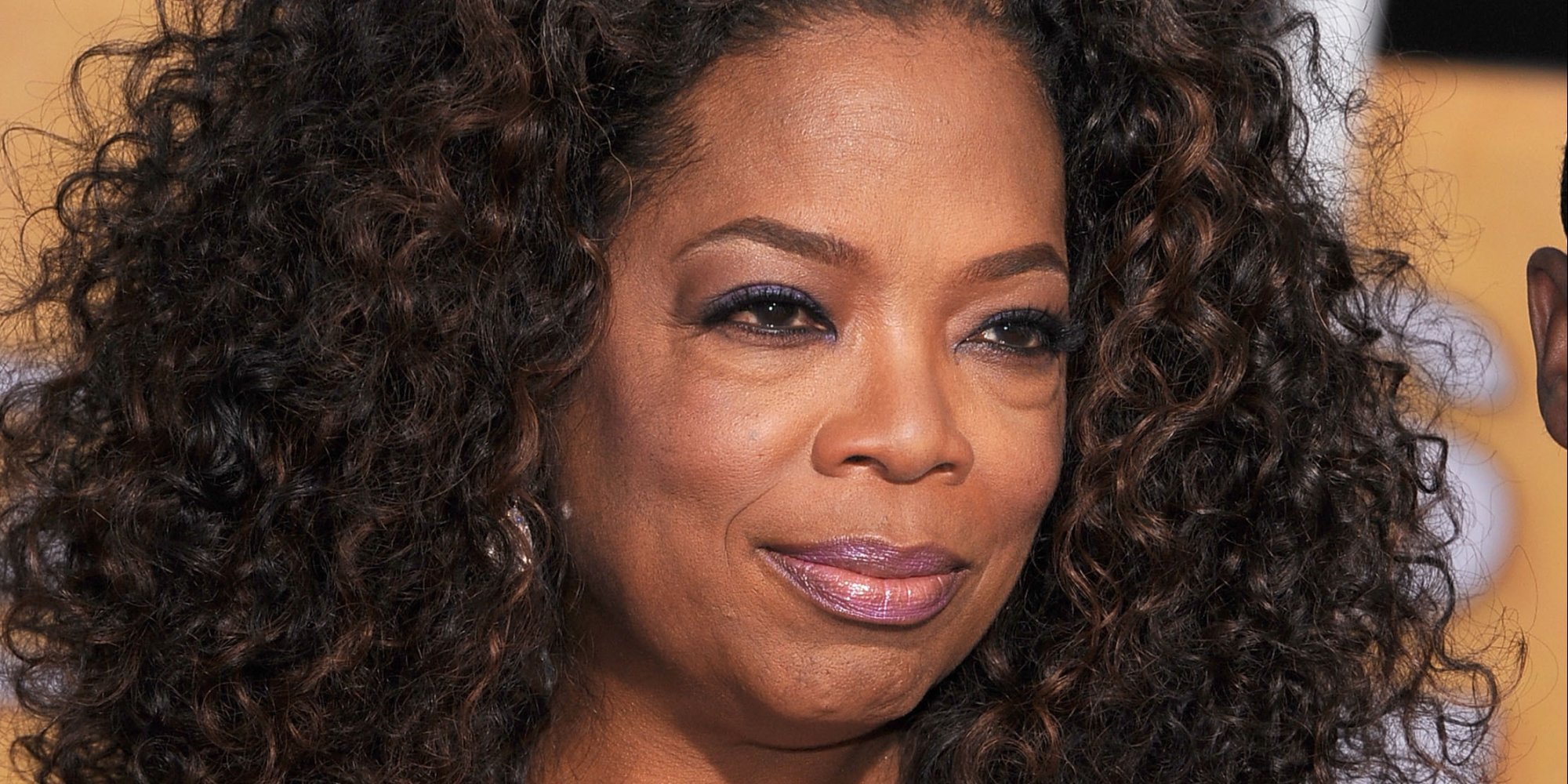 Oprah Cancels 60th Birthday Party: E! | HuffPost