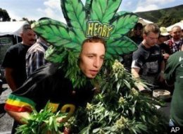 Legalize Pot Poll