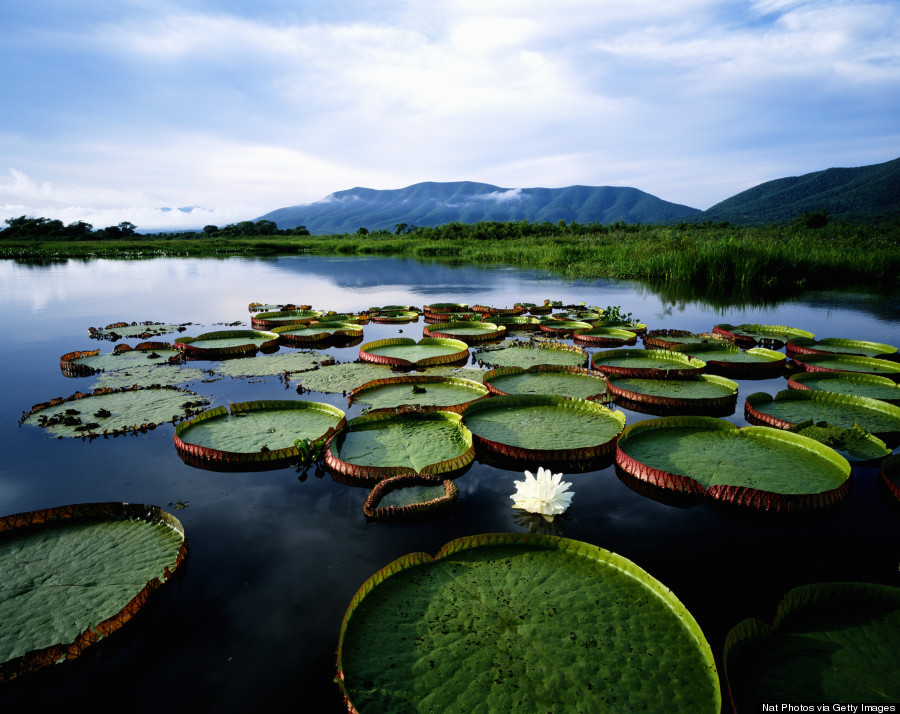 27 Reminders Why Brazil Is On Everyone s Bucket List HuffPost