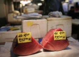 A Buzzkill Guide to Sustainable Seafood (PHOTOS)