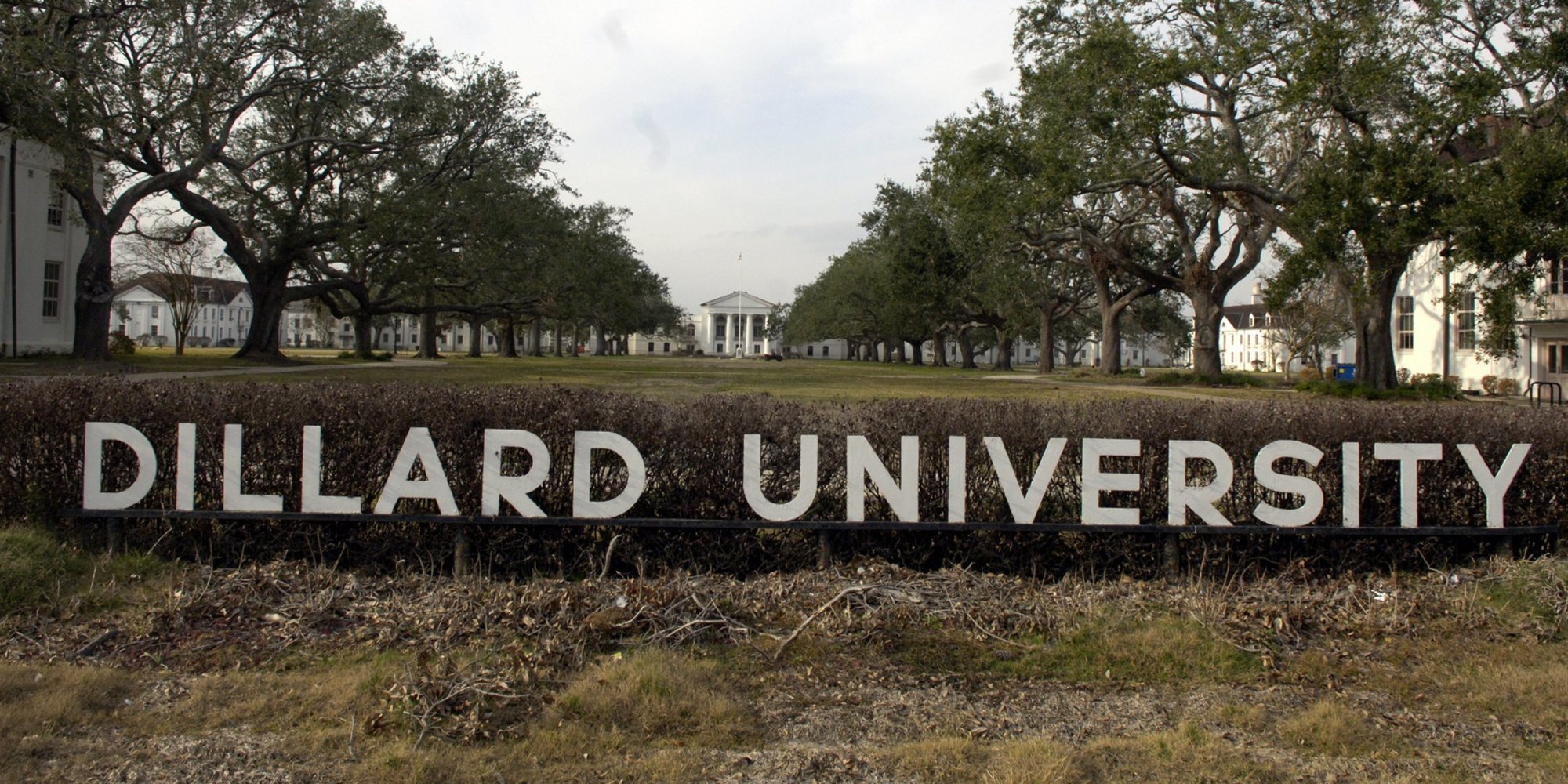 DILLARD-UNIVERSITY-facebook.jpg