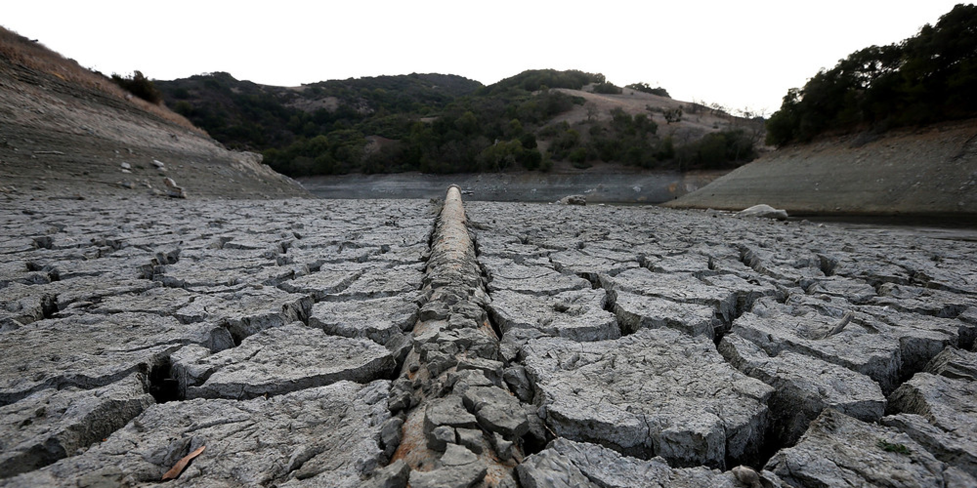 California's Drought Requires Individual and Government Responses