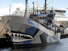 Sea Shepherd Clashes With Japanese Whalers Near Antarctica