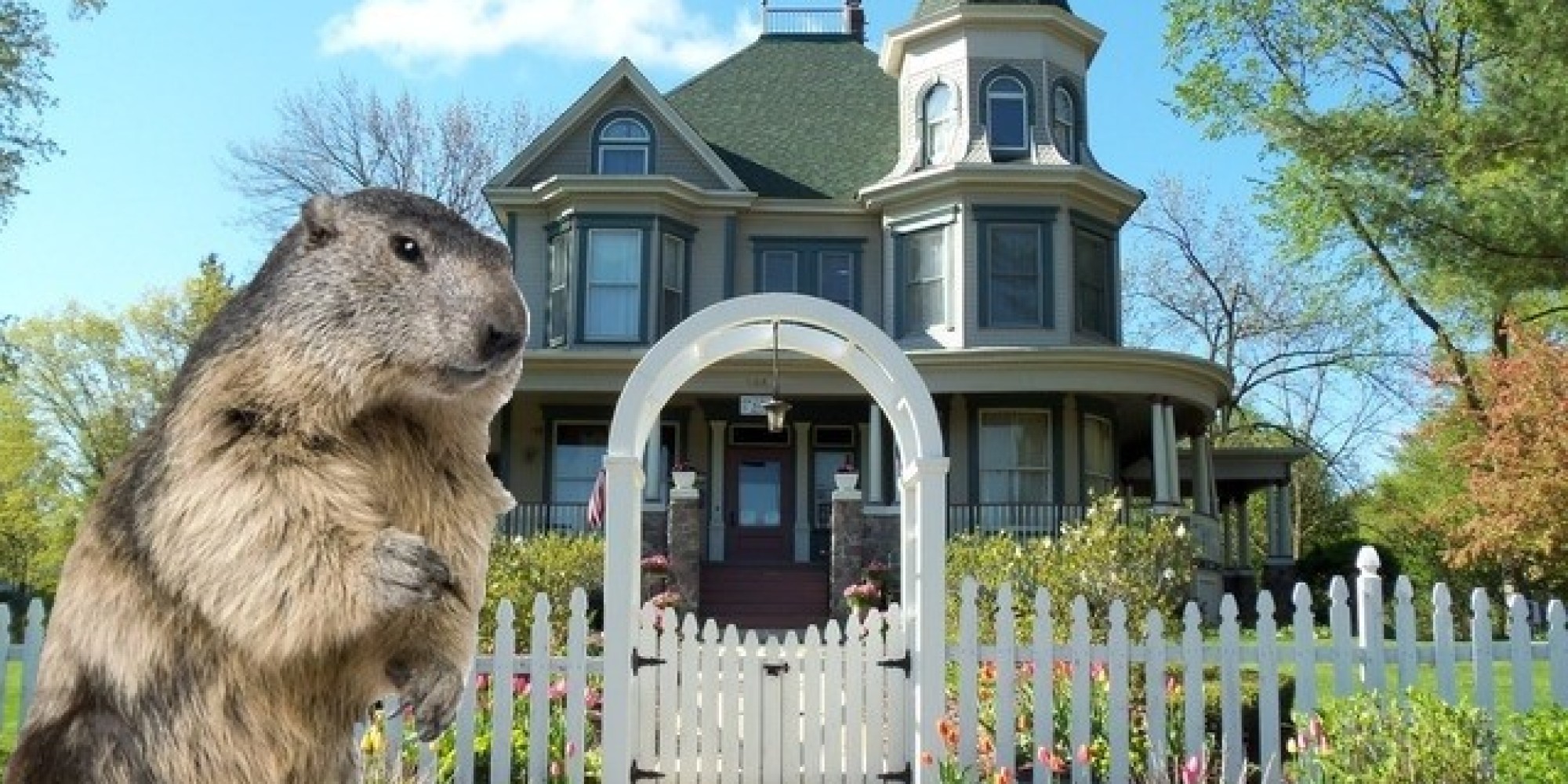 bed and breakfast from groundhog day