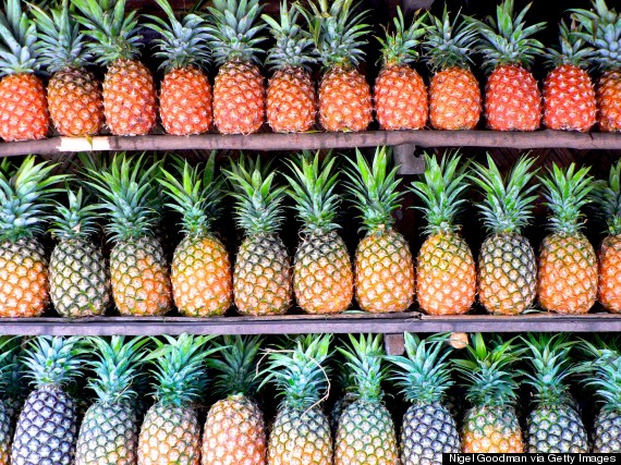 How do pineapples grow?