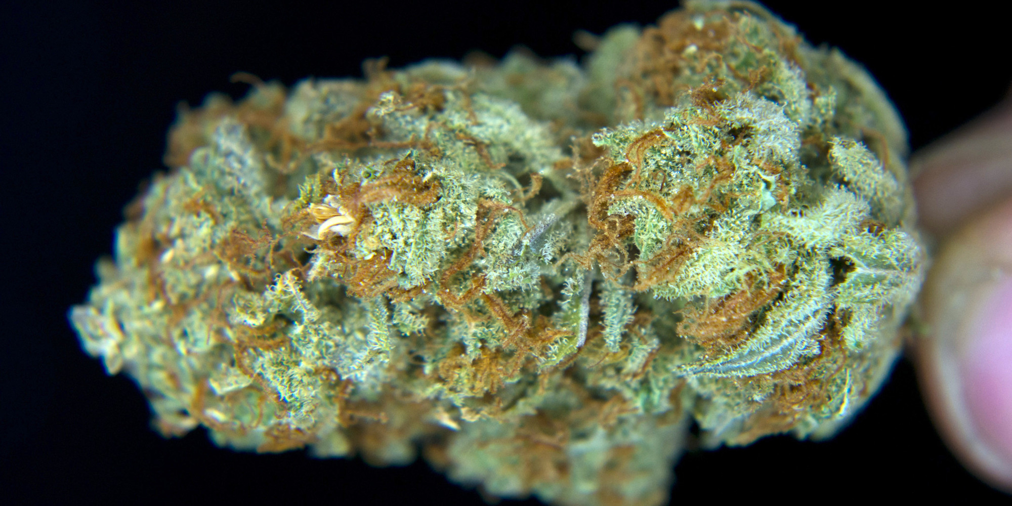 Legalizing Medical Marijuana May Lead To Fewer Suicides HuffPost