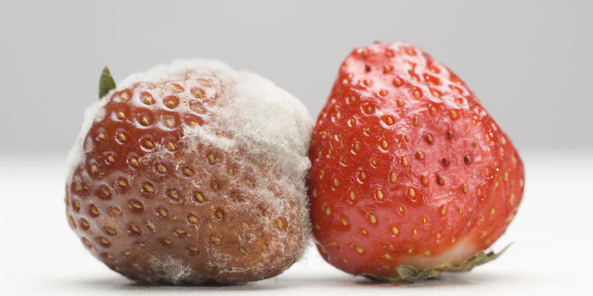 WATCH Can You Cut Mould Off Food And Eat It?