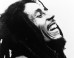 Songs of Freedom: Celebrating Bob Marley on his 70th Birthday