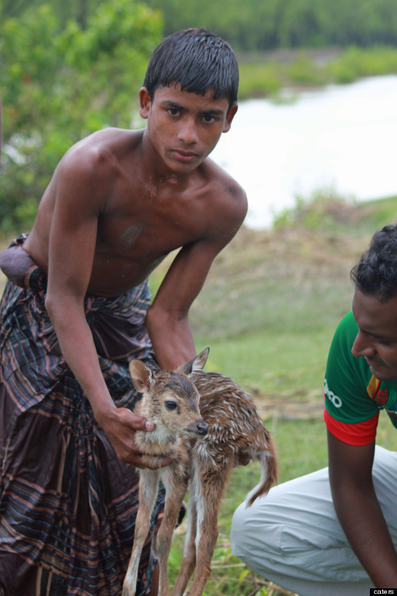 Image result for boy holding baby deer