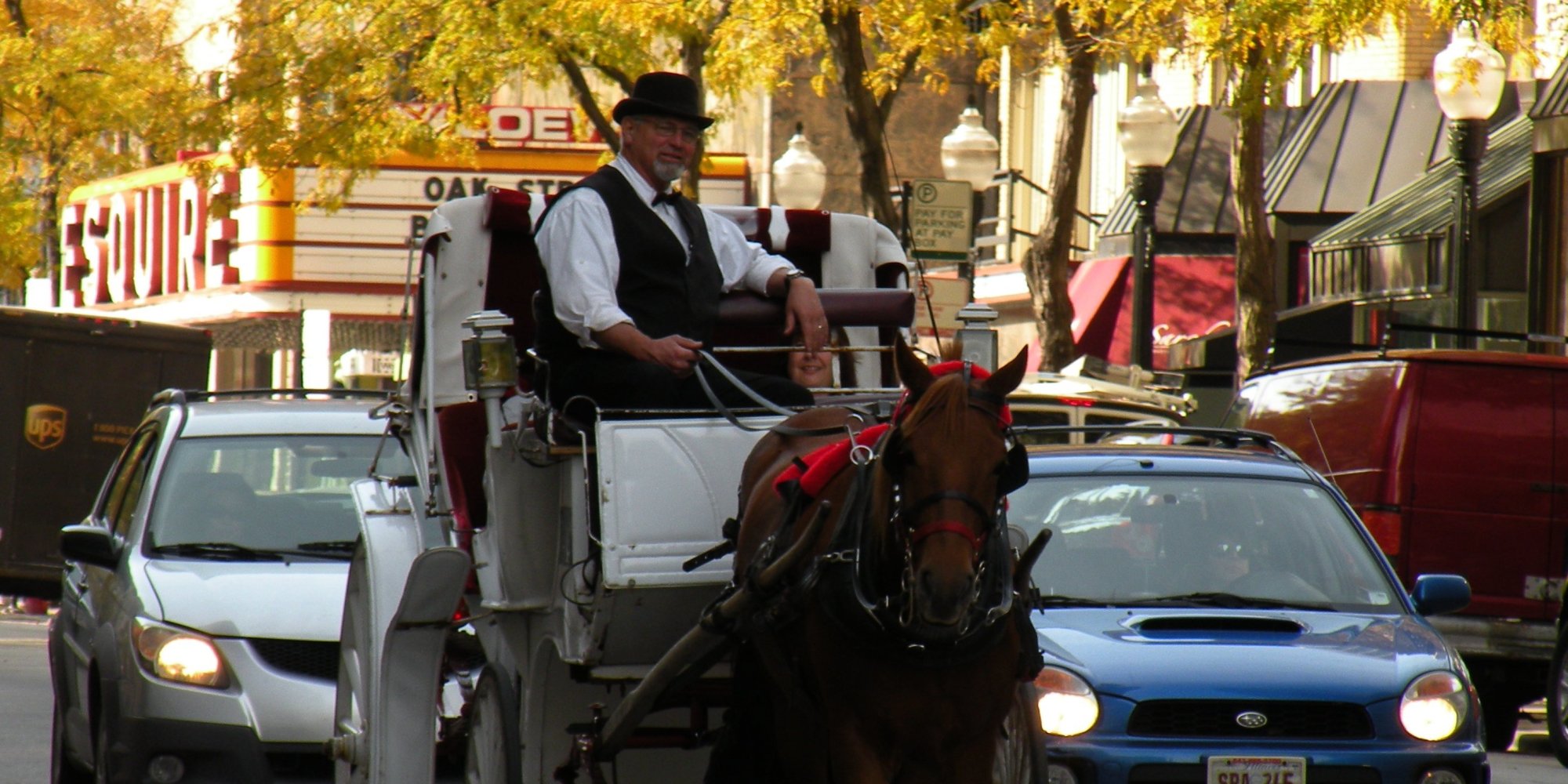 Chicago Alderman Aiming To Ban HorseDrawn Carriages Slams Practice As