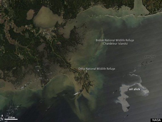 Deep Horizon Oil Spill