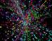 Exotic Particles & Extra