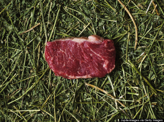 grass fed beef