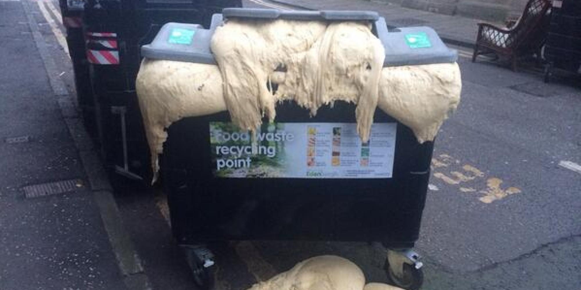 Papa John's Pizza 'Dough Monster' Emerges From Edinburgh Food Recycling Bin (PHOTO) HuffPost