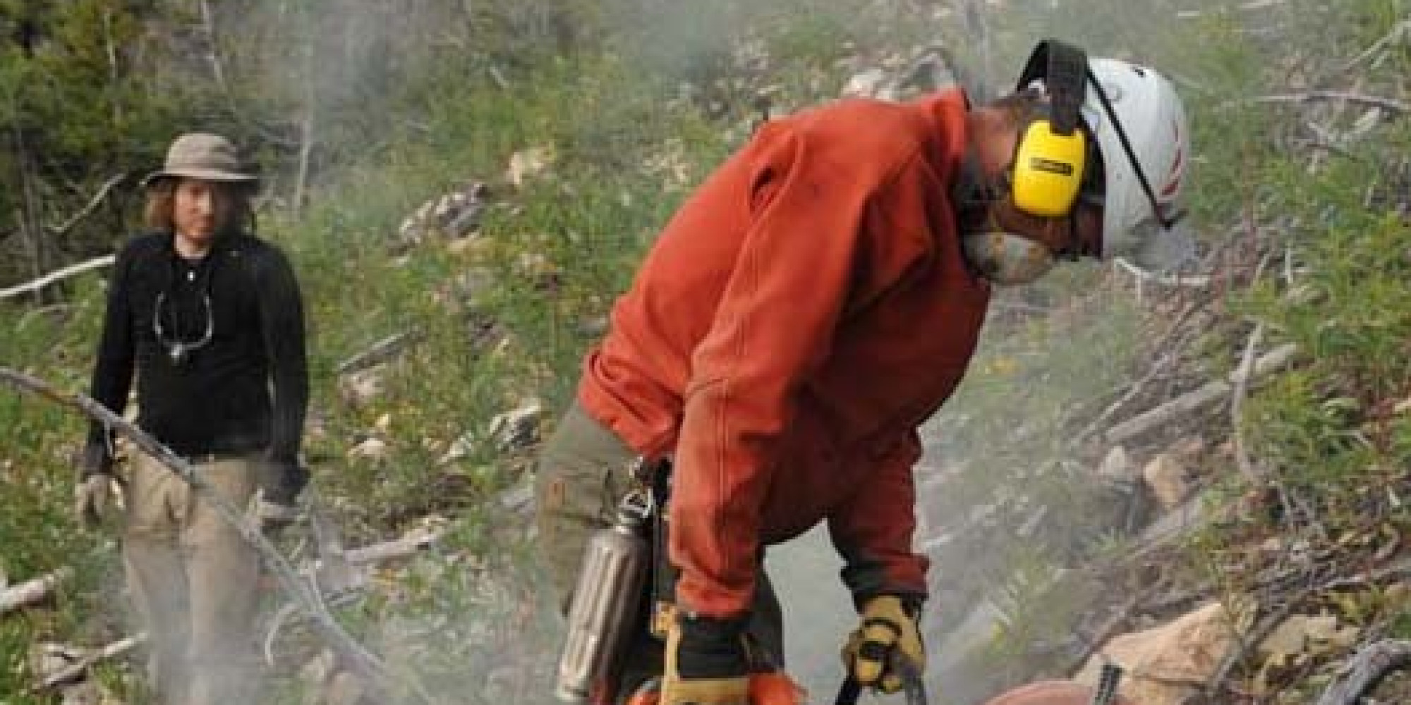 Fossil Trove Discovered In Canada's Kootenay National Park Hailed As