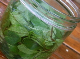 The Ultimate Mint Julep Celebrates the Kentucky Derby