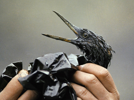 Exxon Valdez