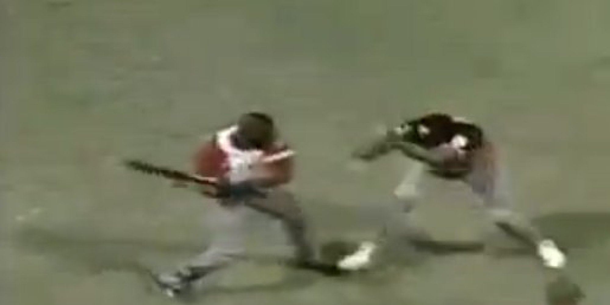 Cuban Baseball Player Uses Bat As Weapon In Wild Brawl Video Huffpost 