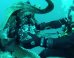 Octopus Steals Camera To Take A Few Cephalopod Selfies (VIDEO)