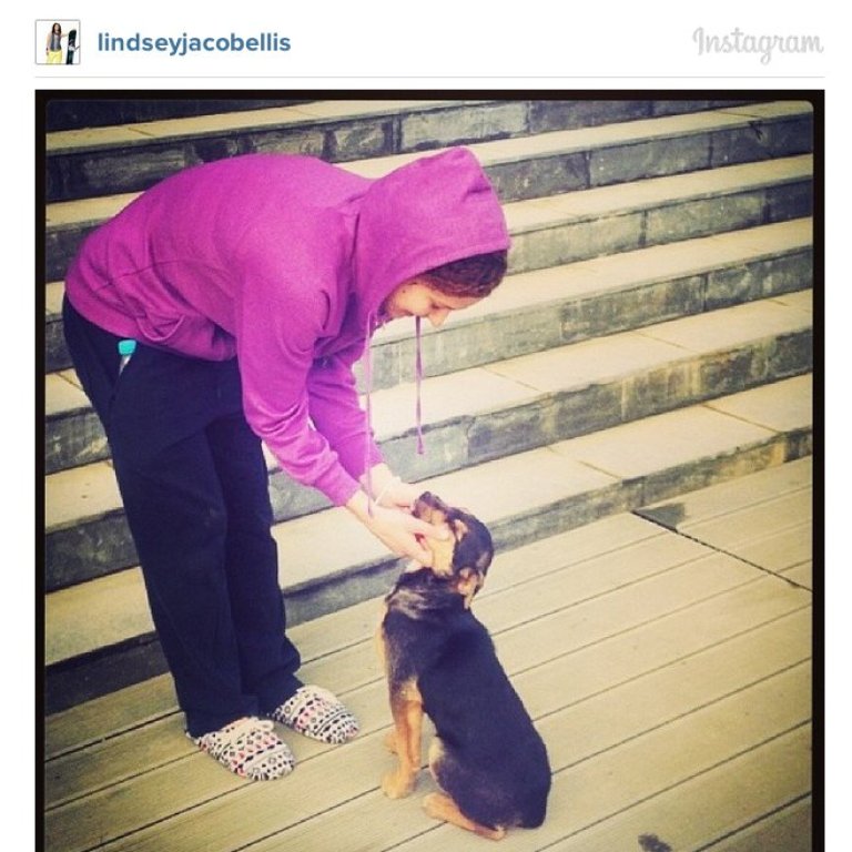 instagram1