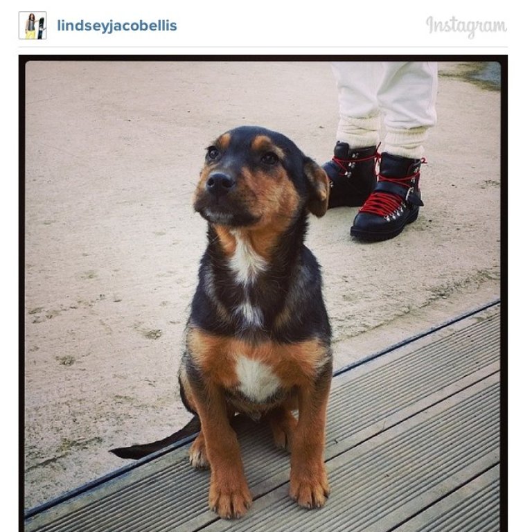 instagram2