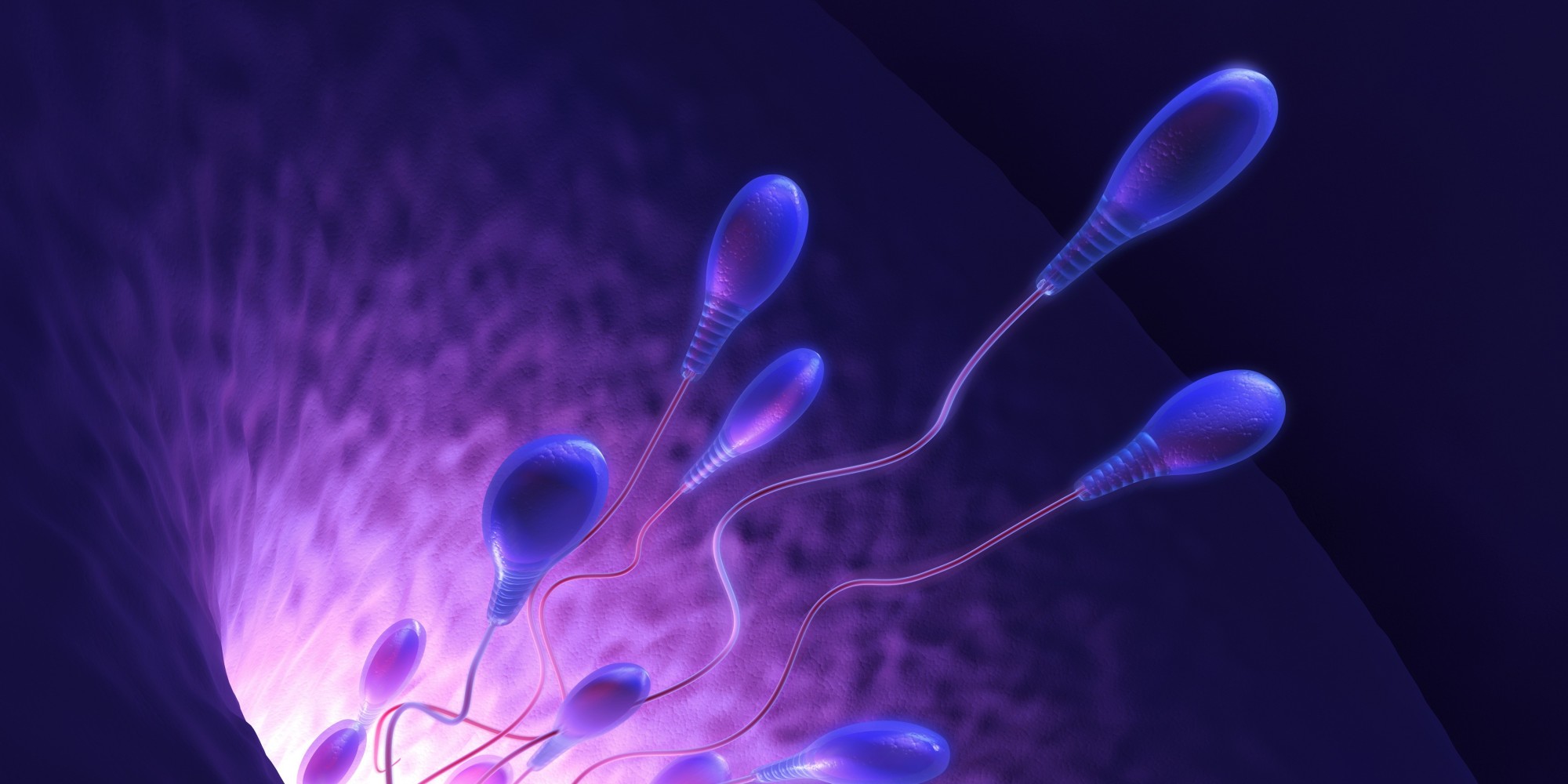 Sperm 101 10 Crazy Facts You Never Knew About His Swimmers HuffPost