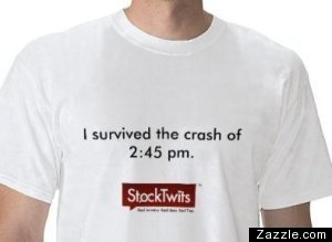 I Survived Crash