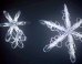 Watch A Snowflake Come To Life In This Mesmerizing Time-Lapse Video