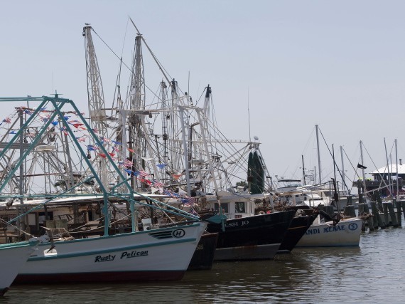 Gulf Oil Spill Fisherman