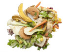 Global Food Waste Now At Shamefully High Levels