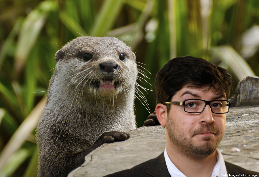 schmittlepp ottergate christopher lauer