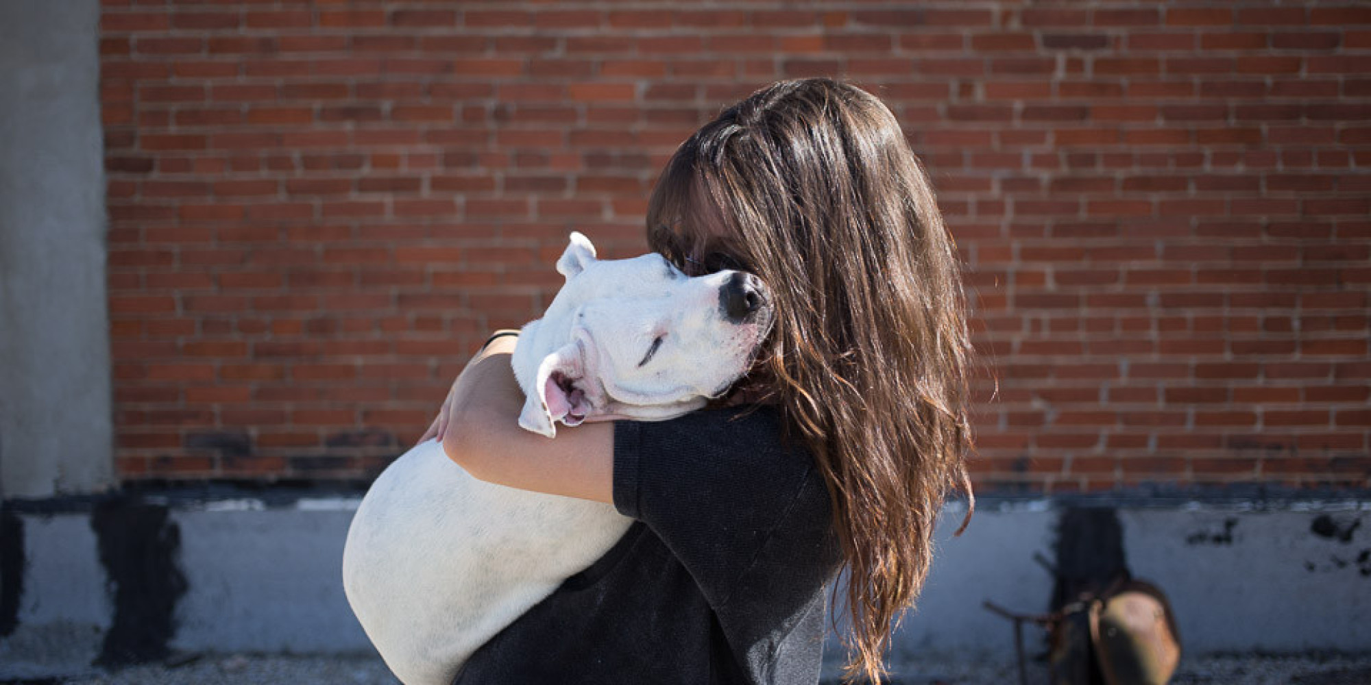 Photographer Asks People From All 50 States Why They Rescued An Animal. These Are ...