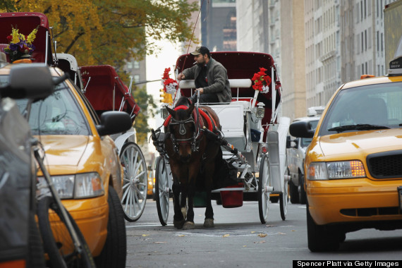 new york horse carriage