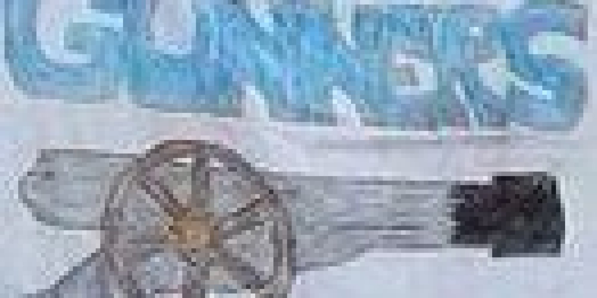 Homophobic Banner Unfurled At European Soccer Match HuffPost