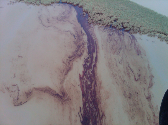 Oil Spill Loop Current