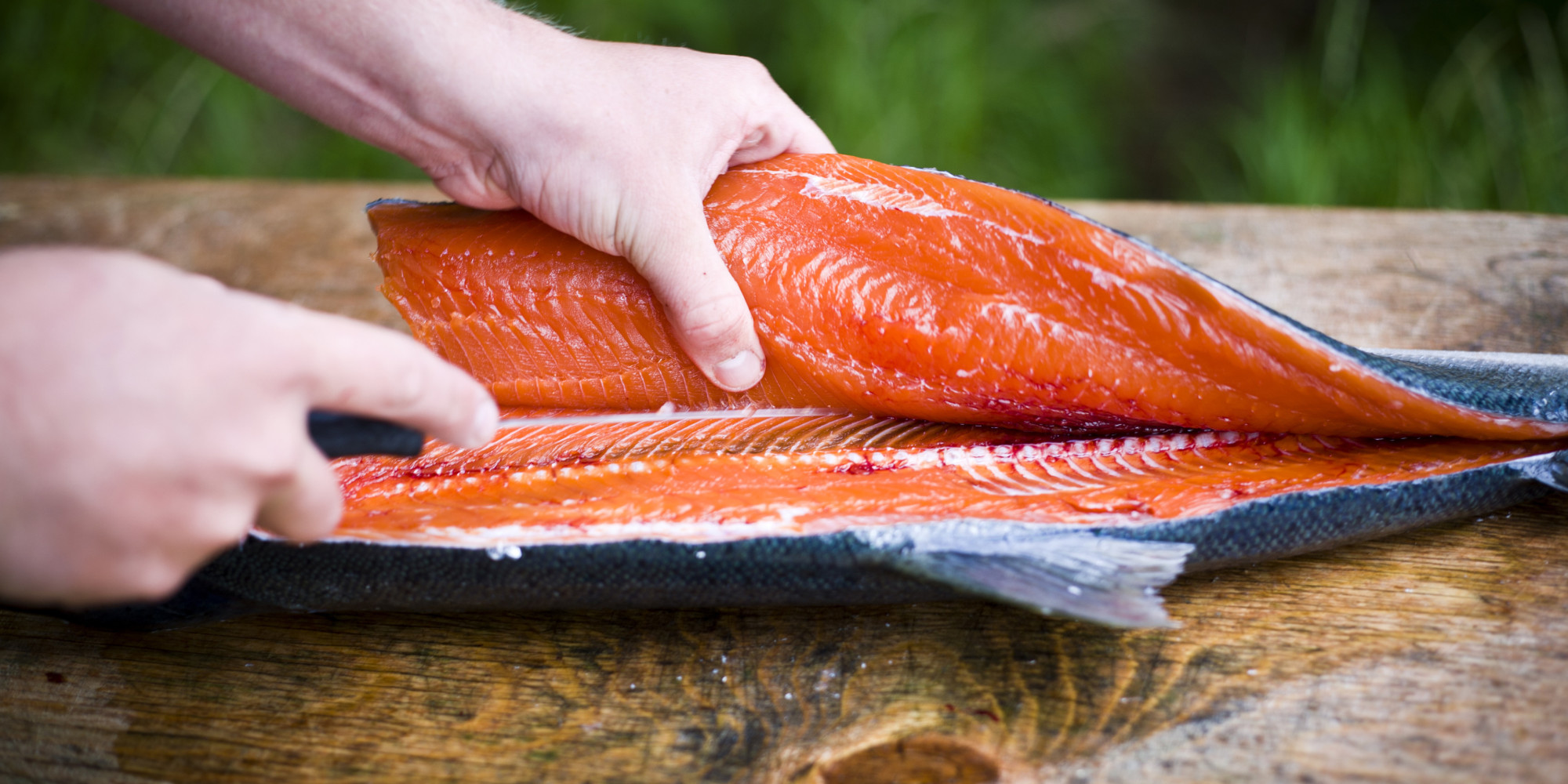 Fda Weighing Whether Genetically Engineered Fish Is Safe To Eat Huffpost