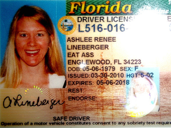 Florida Agents License