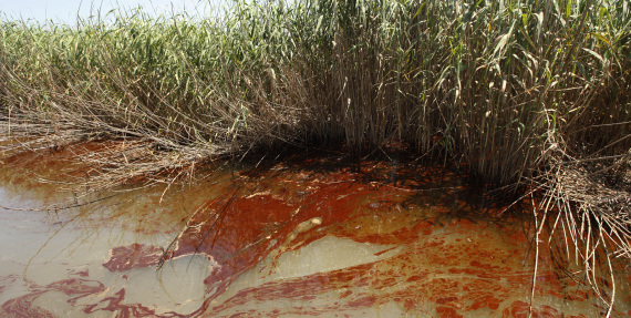 Oil Spill